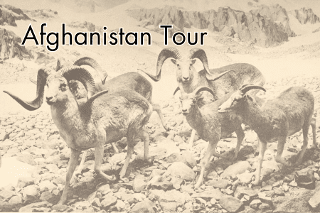 Afghanistan Tour silk road