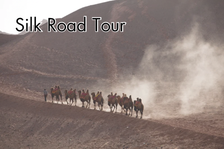 Silk Road Tour